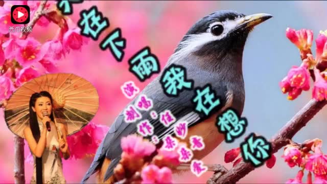 7836772912859815916.jpg?id=0