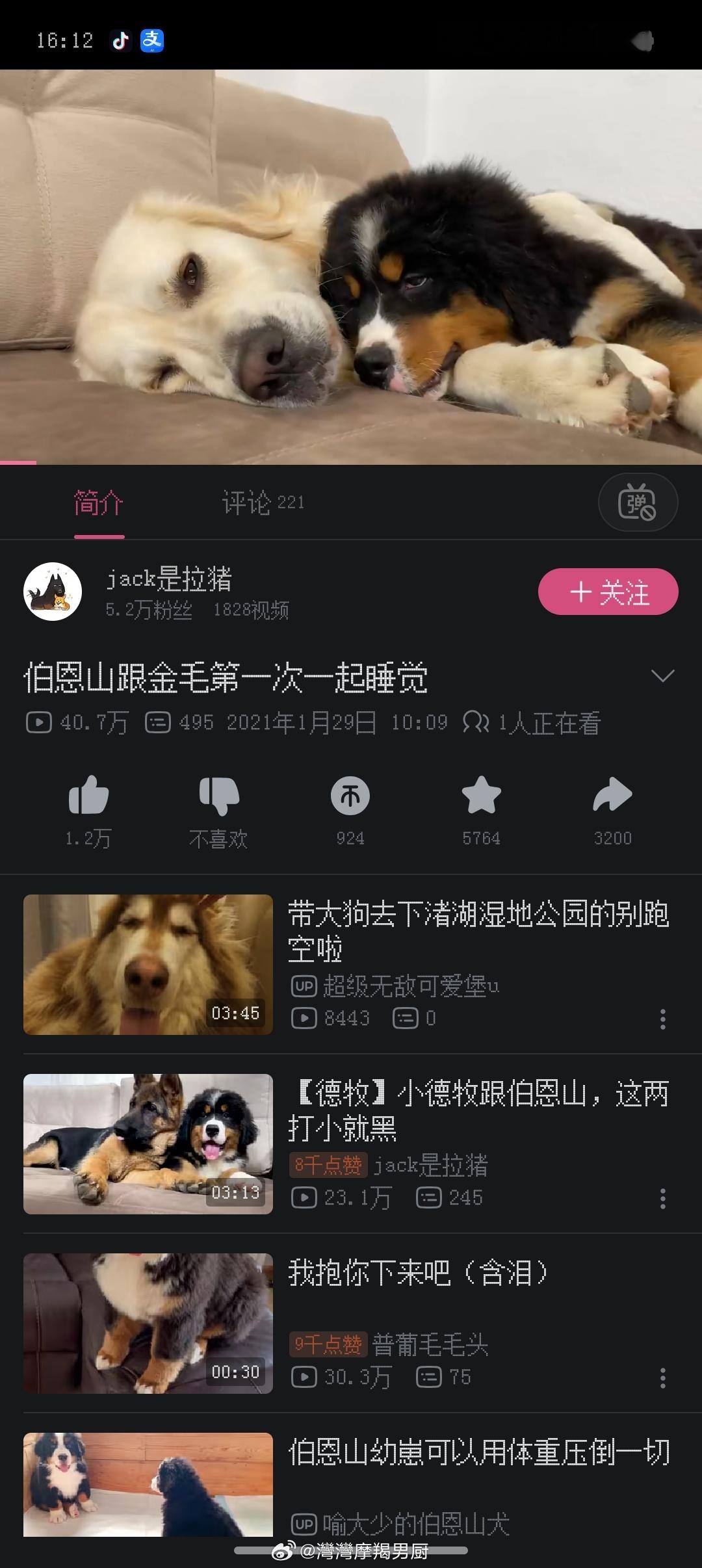 嘘折概念。