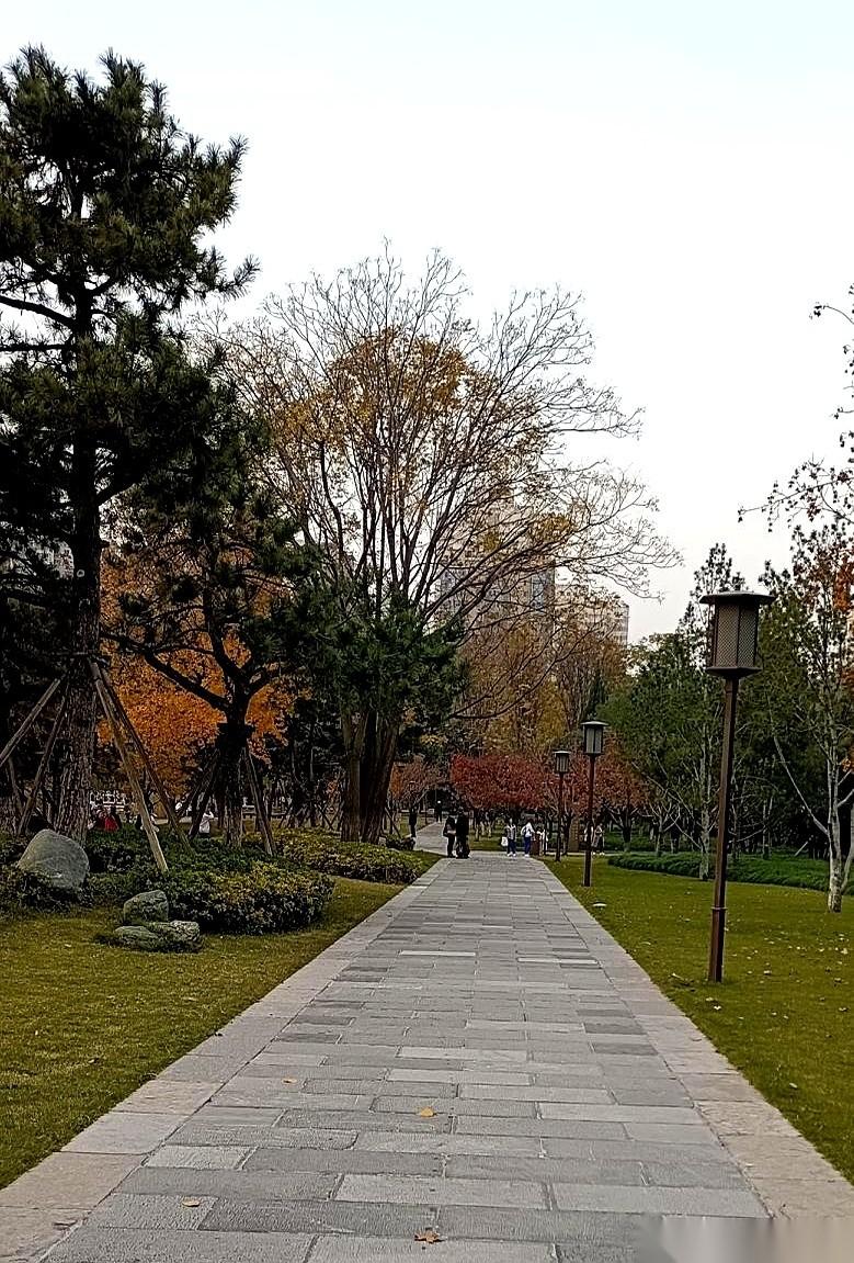 有人在你家门口吐痰、骂街，哪怕保安就站你旁边，你也千万别开门。锁好，当没听见。