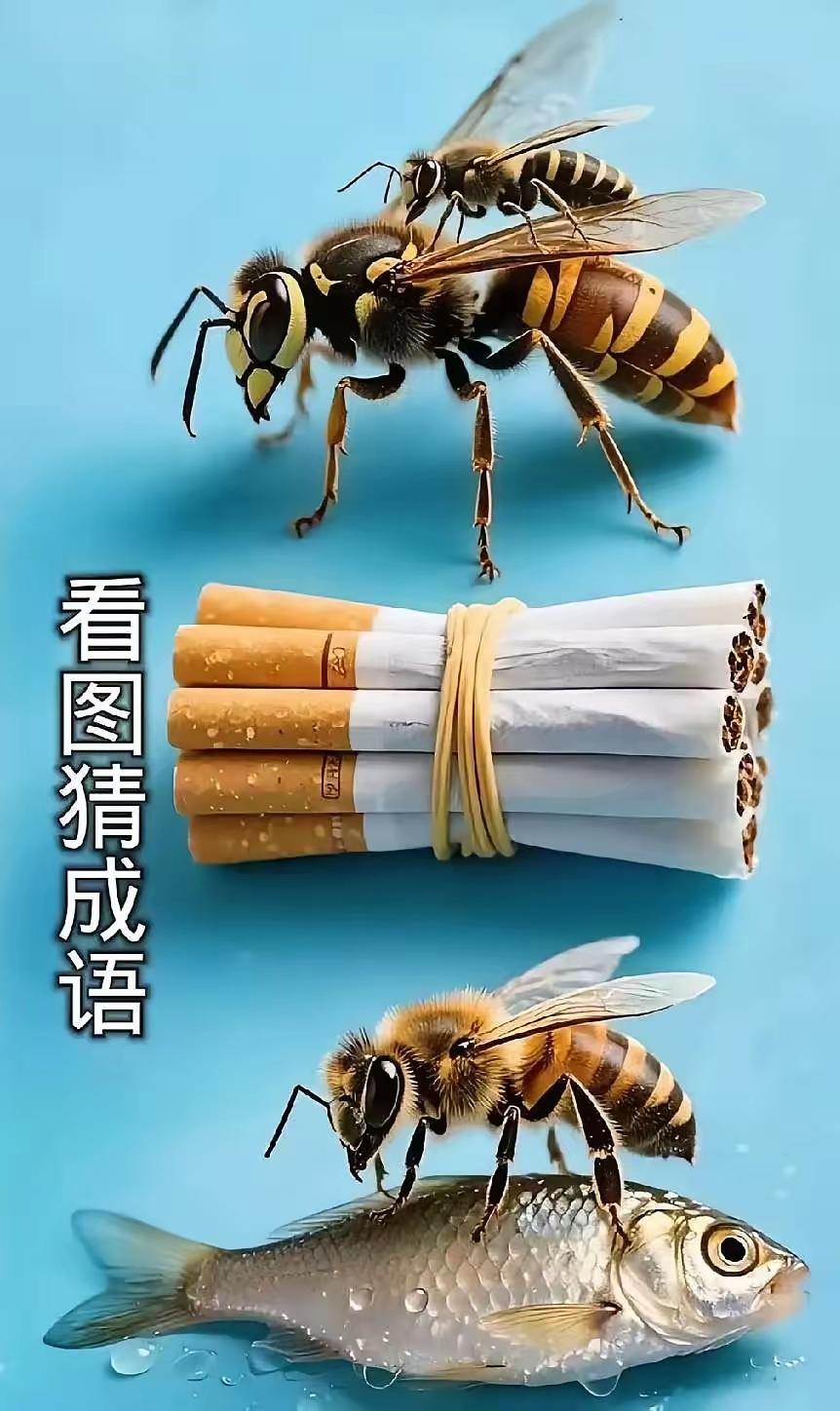 看图猜成语，问了一百个人都不知道答案，全军覆没，难度系数五颗星，各位才子佳人知道