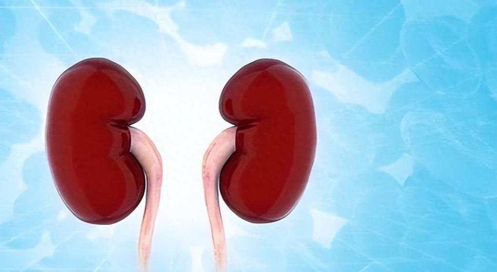 要想寿命长，全靠养肾阳！送你3个中成药，阴阳同补，祛寒除湿肾阳一衰，百病