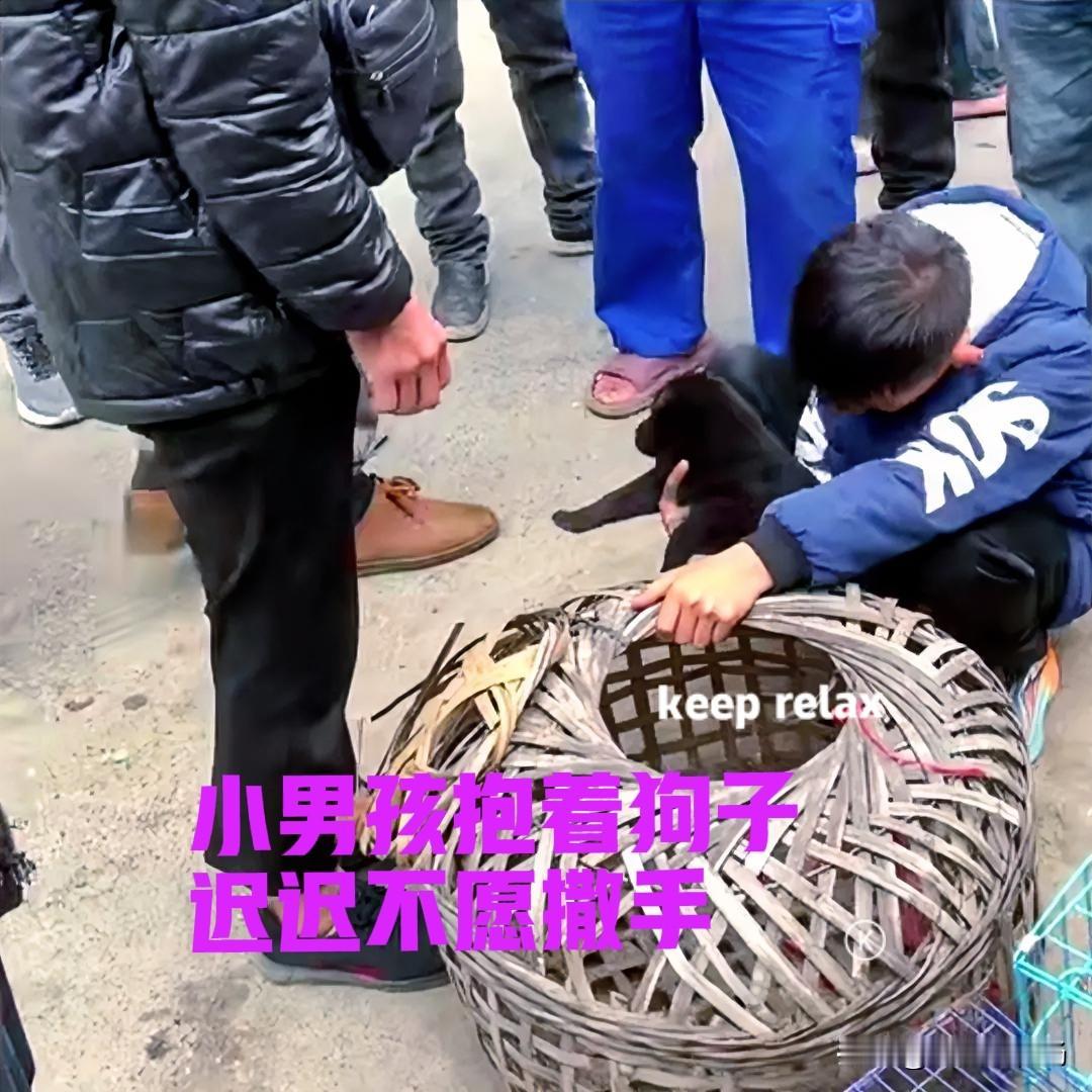 热闹的大街上,有一个小男孩,陪着妈妈在卖小狗。小狗是他们自己家的母狗下的,由于养