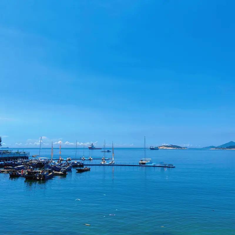 一名女子因意外失去左耳，竟奇迹般地将其寄养在脚背上5个月后成功移植回原位，这一医