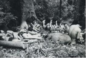 1956年,解放军在云南原始森林深处,发现一群衣不蔽体,蓬头垢面的男男女女。经过