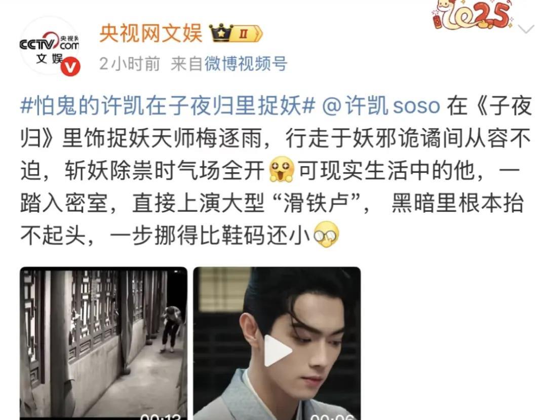 央妈出手帮忙宣传许凯的子夜归啦！不愧是央妈，夸奖许凯用词非常犀利，该夸夸，该贬