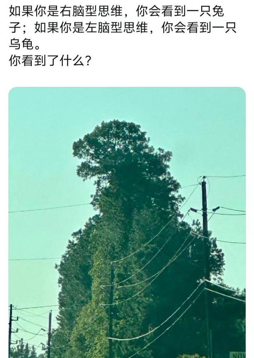 不是，这咋看咋像哥斯拉吧