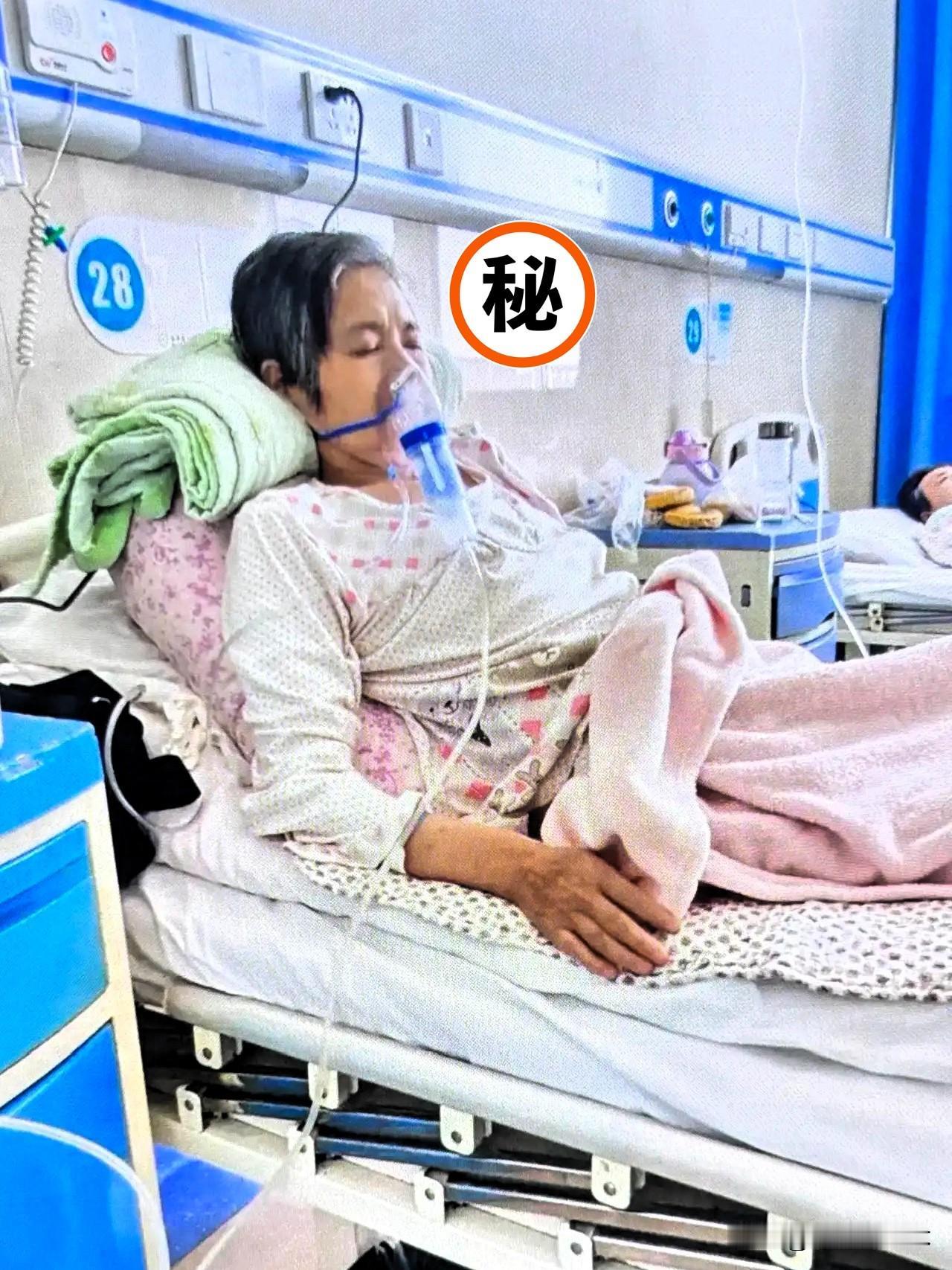 今天跟爸爸大吵一架，起因是我姑姑。姑姑丁克一辈子，69岁骨折住院没人管，我爸让我