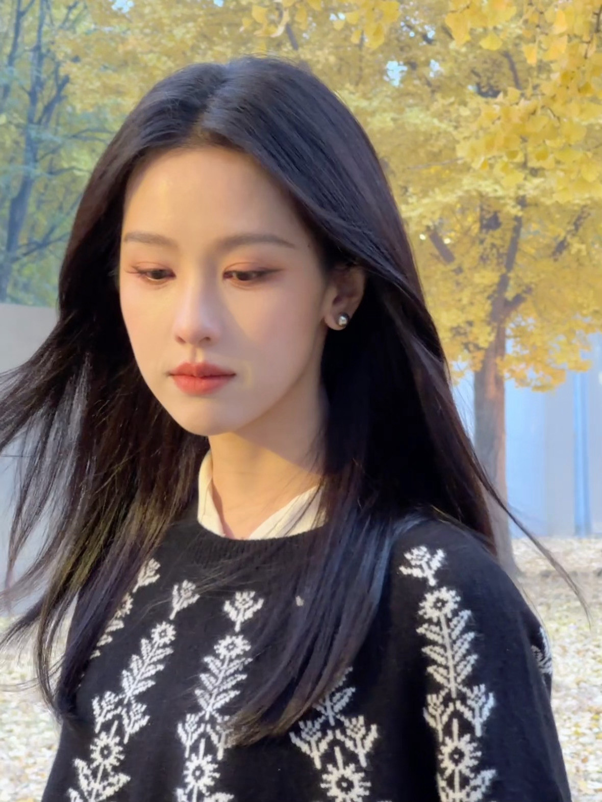 陈都灵金色的秋天是收获的季节，比如，今天就收获了一组嘟的可爱照片📷