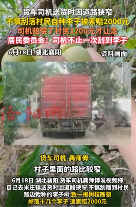 “严查到底！”6月18日，湖北襄阳，一位货车司机在送货时，不慎刮到了村民家的李子
