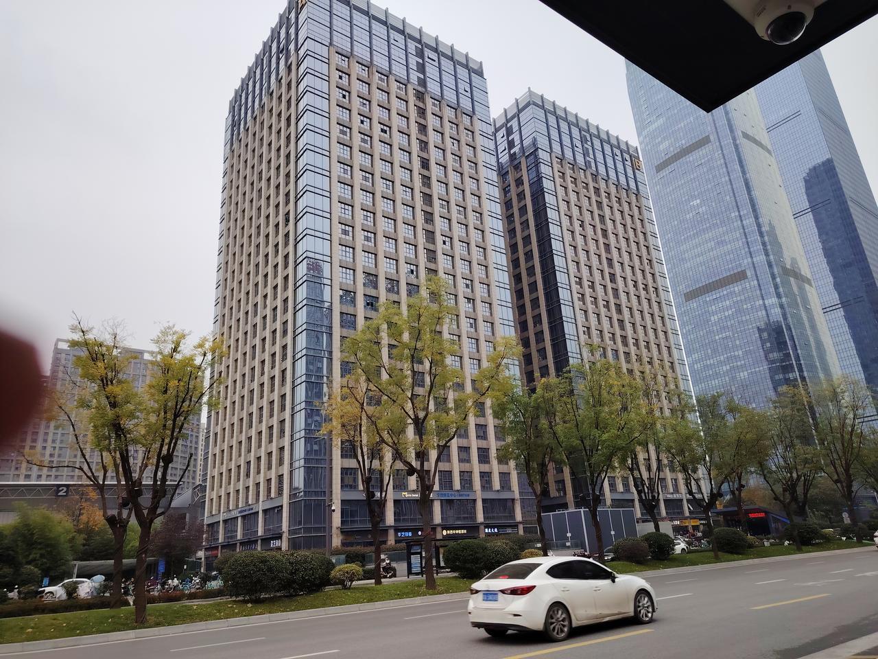 有个小女孩，名字叫若鹰。大学毕业后，考编第一名。本想进名校，梦想却未成。无奈到乡