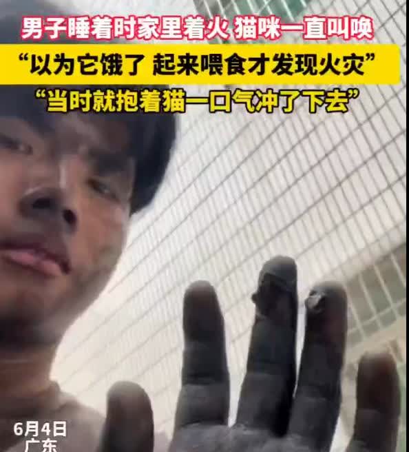 太有灵性了！广东，男子正在睡觉，猫咪却在旁边狂叫不止，男子不耐烦的拿来猫粮，却意