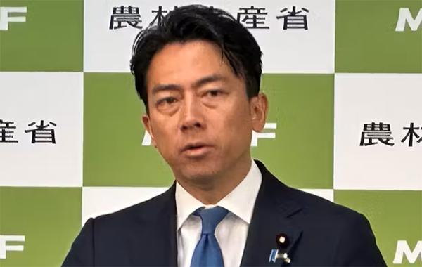 小泉进次郎将会有望成为未来的首相，现在国际局势复杂，小泉纯一郎不希望他在50岁之