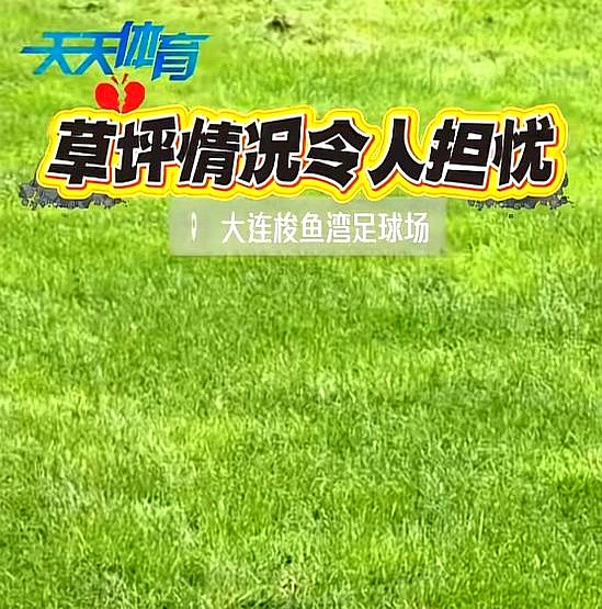 大连英博和北京国安还没开踢，随队的北京媒体就先在场外带起了节奏，开始公开抱怨大连梭鱼湾球场的草皮质量