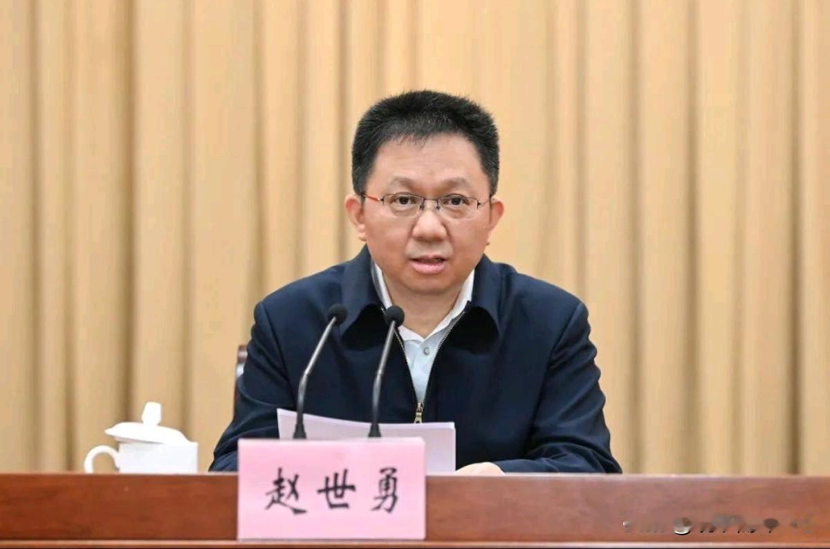 重用！晋升正部级！8月22日，国家有关部门作出宣布，赵世勇当选中央纪委副书记。很