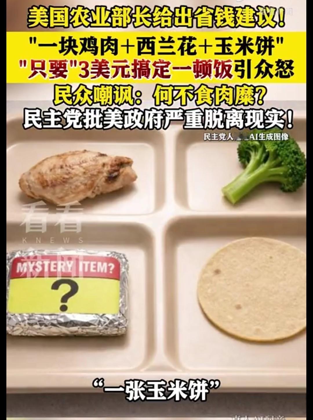 一块鸡肉、一块西兰花、一块玉米饼再加上一点其他的东西，只要三美元就能填饱肚子？