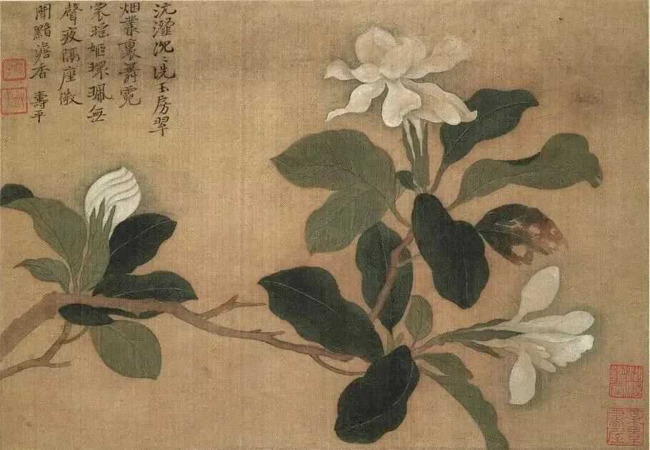 恽寿平花卉十开。恽寿平(1633年—1690年)，初名格，字寿平，又字正叔，