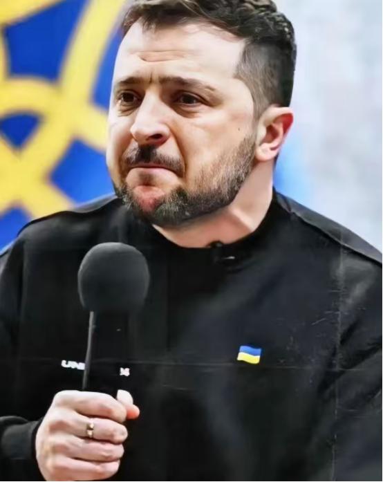 乌克兰议会，又投票了。330票赞成。几乎全票。当地时间2026年1月14日，