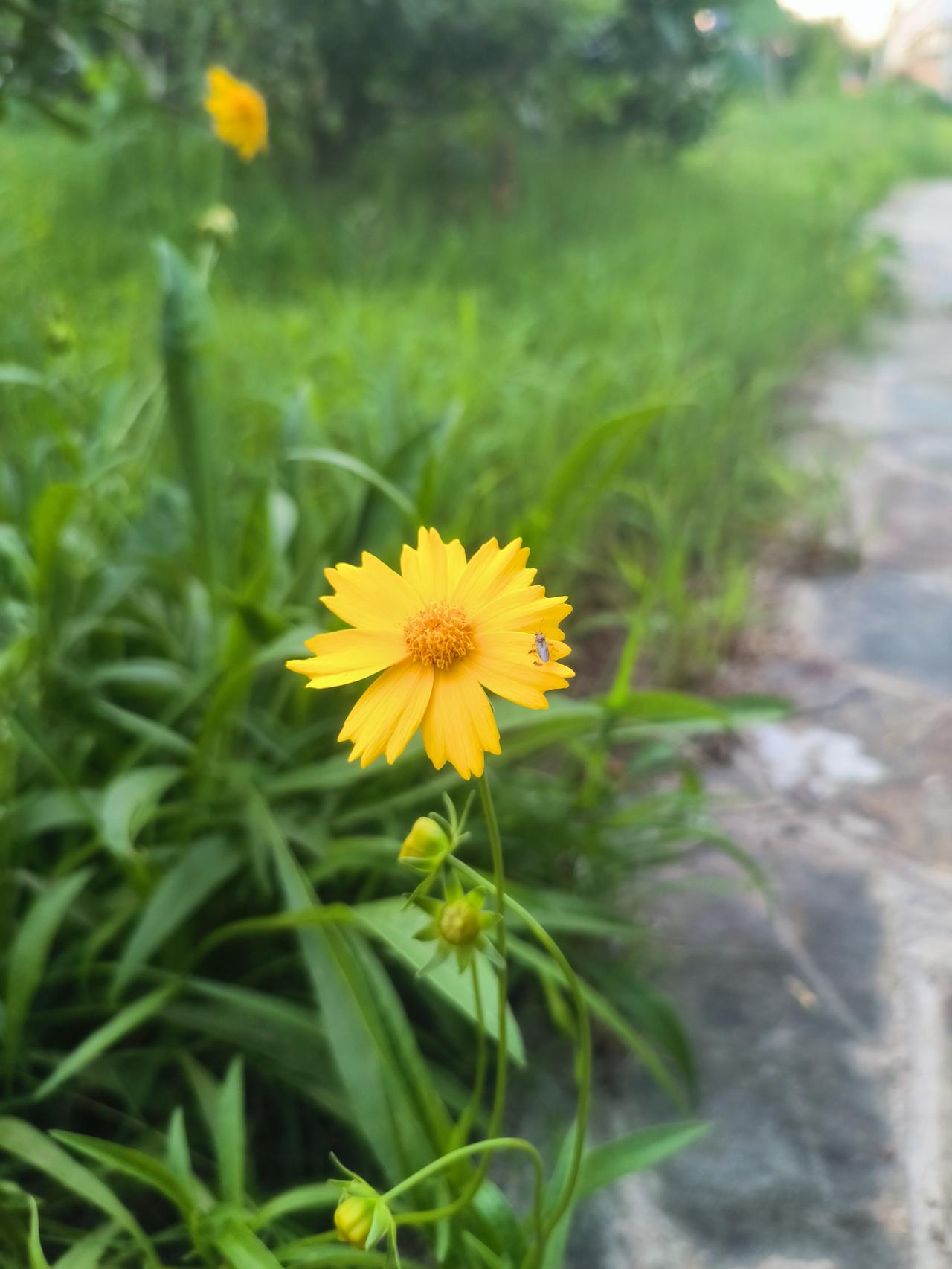 职场有定力，方能不迷乱。人在职场，一定要考虑到自己工作的目的是什么，是为了养