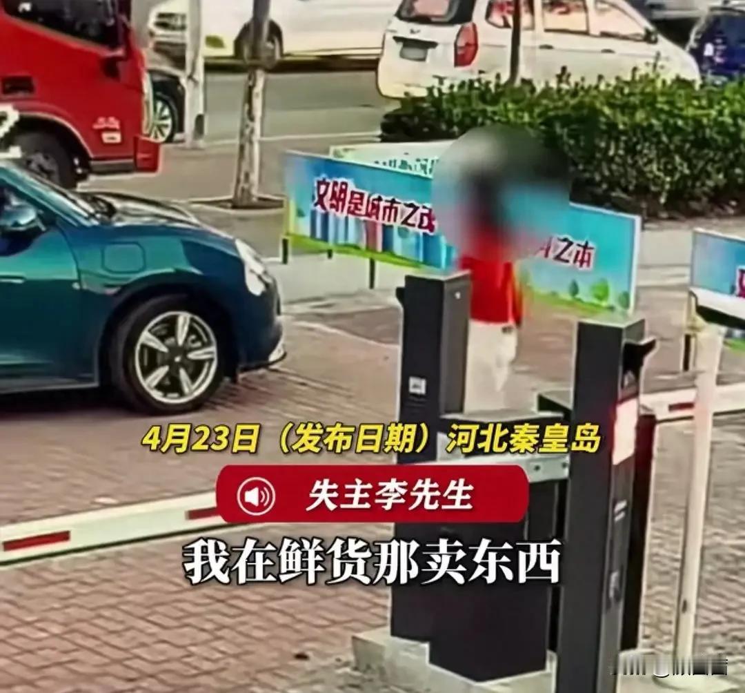 买海鲜逃单还顺走万元幼犬，被认出后直接拉黑，这事真就发生在秦皇岛！4月2