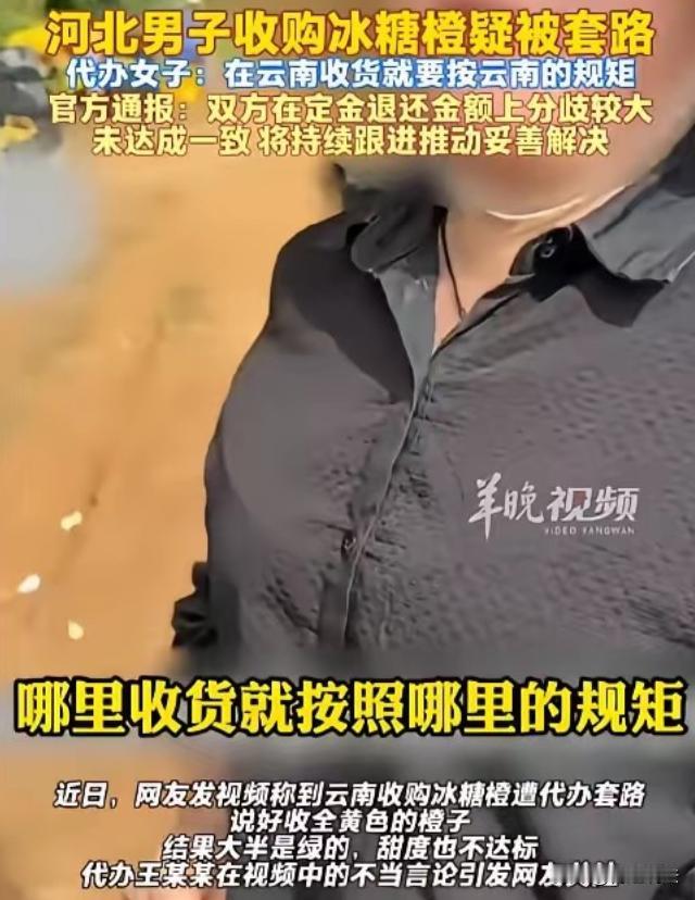 云南，一男子去收购冰糖橙，和接待大姐说好要全黄的，大姐信誓旦旦保证，男子付了50