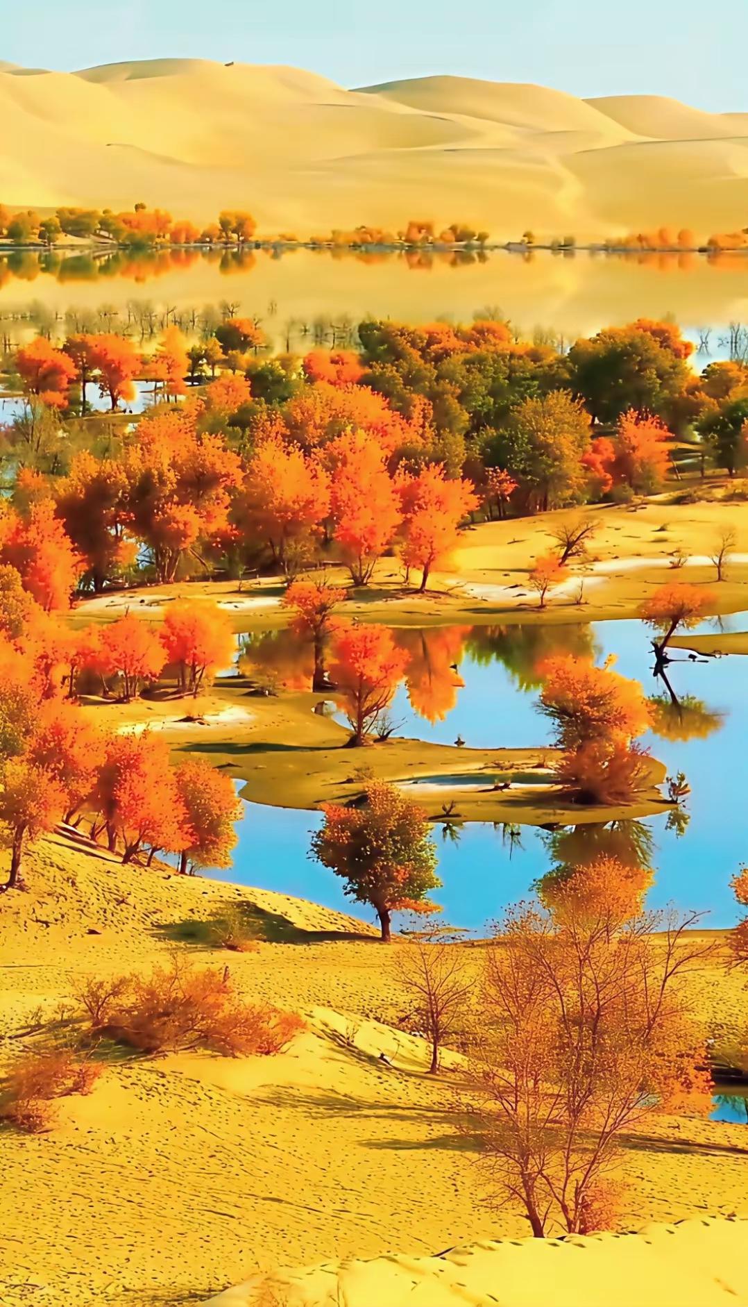 有些话，你真别深究，深究，心凉。有些情，你真别拆穿，拆穿，心伤。