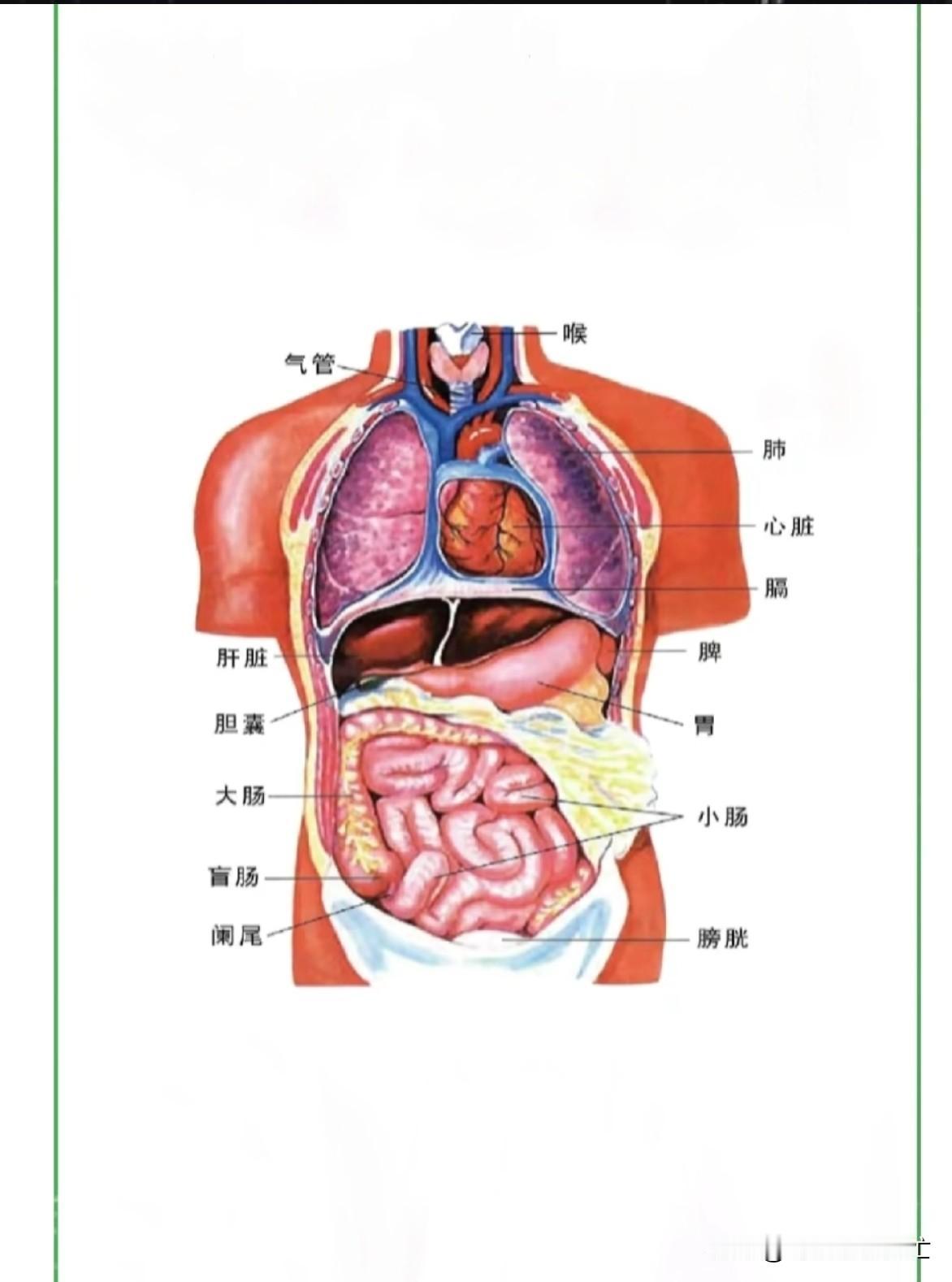 身体其实一直在悄悄给我们发提醒，别不当回事：总头晕，可能是大脑在喊“不舒