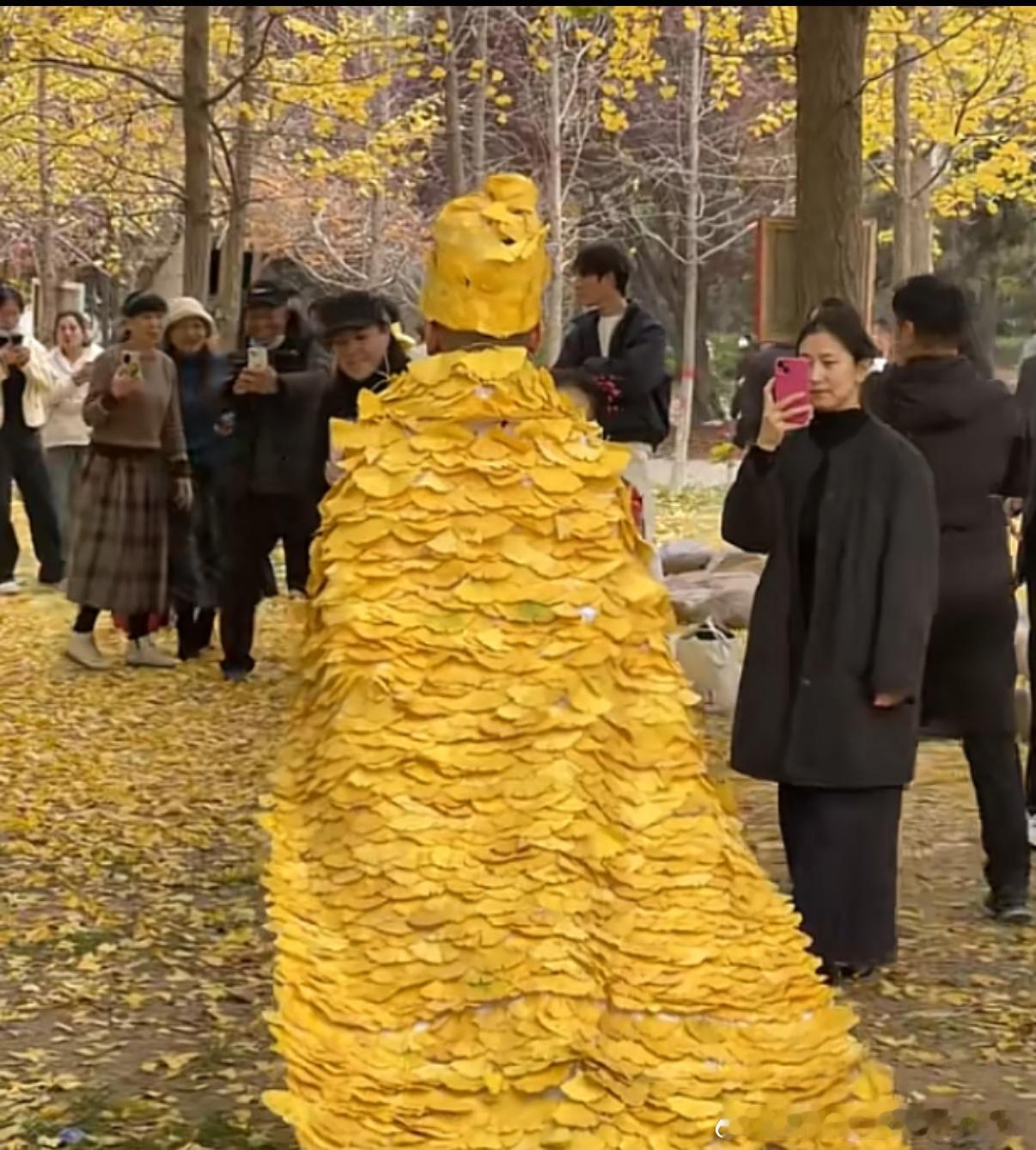 5562银杏叶主理人