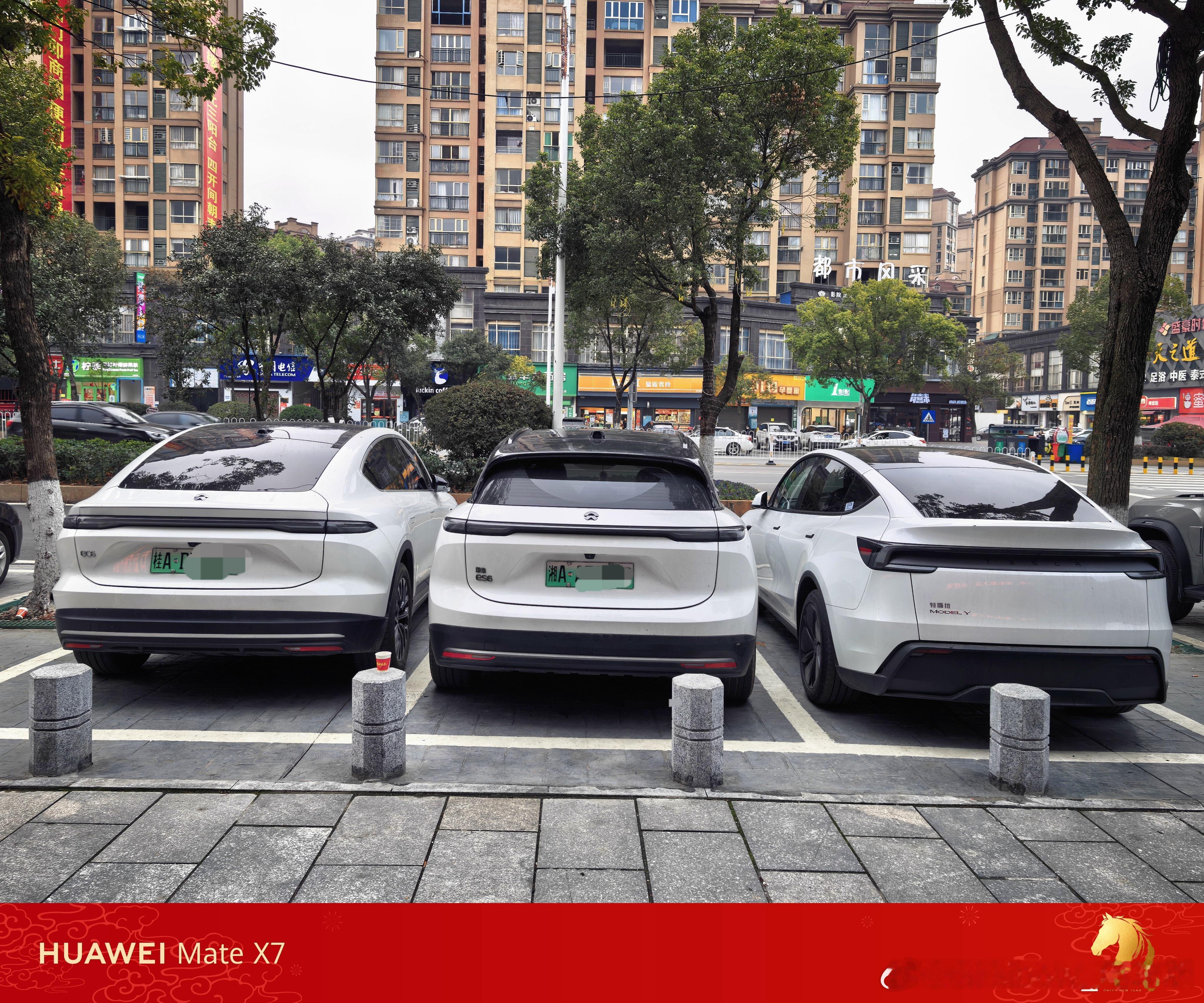 今天回老家了也要和蔚来车主排排停一下好像还混入了一个美国兄弟？蔚来大v聊车