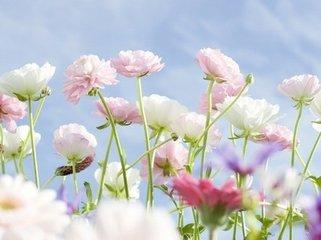 郑州华夏总结: 常见的白癜风的诊断方法有哪些