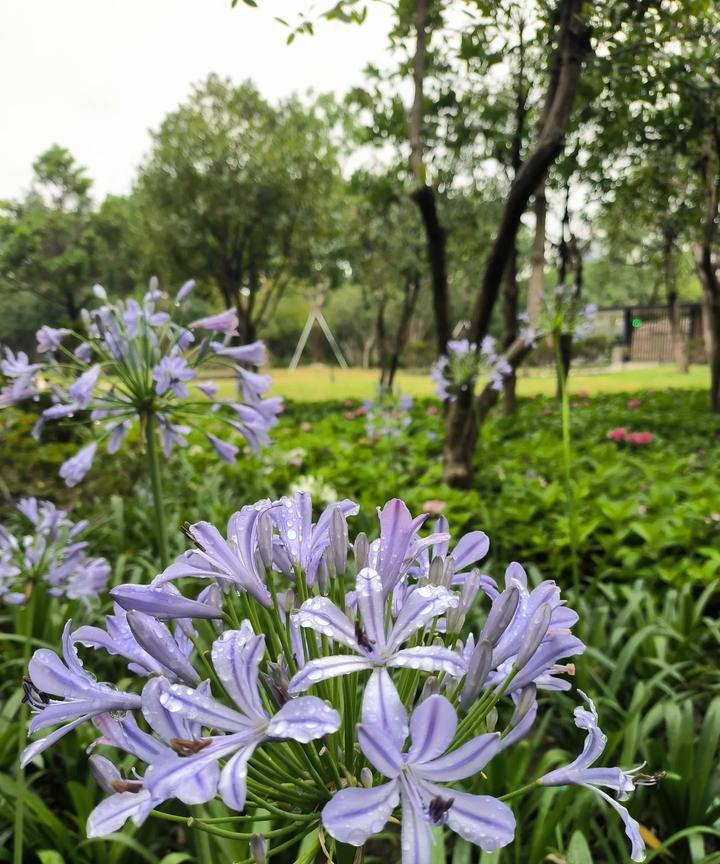 如今，不少家长都变得聪明起来了，开始不逼迫孩子拼命读书了。一个普通家庭，既没有