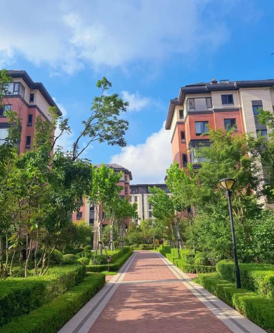 “隔壁王哥，买房价比我整整低了20万！”听到这个消息，我心态彻底崩了，感觉自己