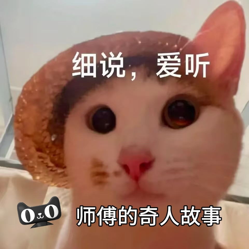 在药店排队买药，等候间隙刷短视频刷到天猫家装短片，停下来多看了一会。短片记录王师