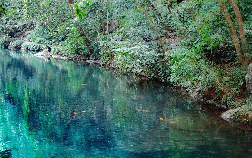 🌟杭州北高峰环线骑行攻略爬陡坡时腿软到想推车，咬着牙登顶的瞬间，风一吹浑身通