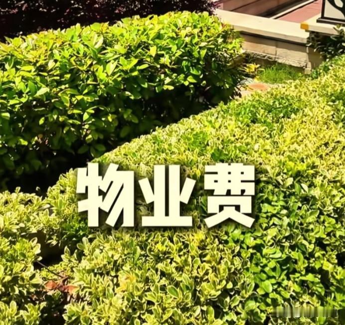 今天，收到物业公司发来的信息，看了很生气。信息是这样的：你的房产