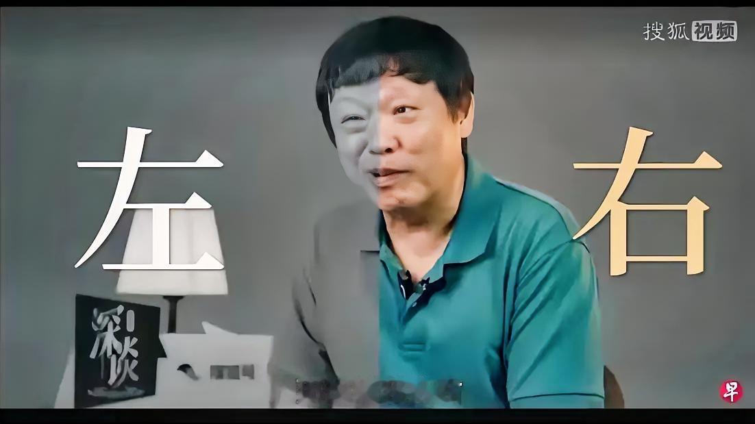 胡锡进在搜狐网8月4日发布的专访中这样说：“这边嫌我太左，那边嫌我太右，那不就觉