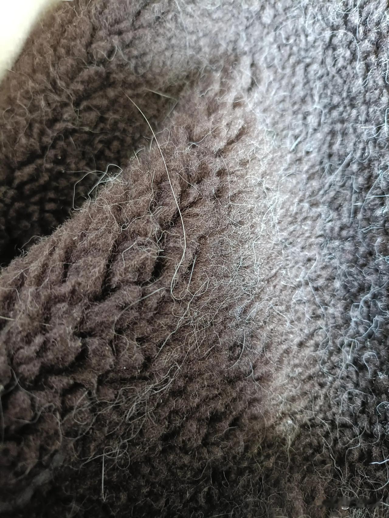 我这件衣服，现在算羊羔毛、猫毛混纺[捂脸哭][捂脸哭]自从帮儿子养了猫，什么面料都