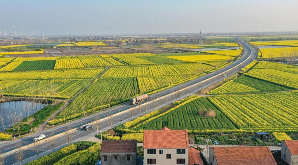 荆州上榜！湖北十大赏花踏春目的地发布，春天就来这春天不知道去哪儿赏花踏青？湖北