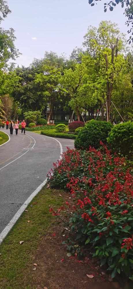 我发现很多老人过了80岁，还能够做到生活自理，头脑清醒的，都有一个共同点，就是不