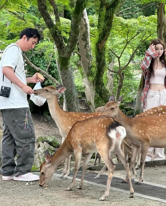 王思聪的小女友，身材真的太好啦这姑娘的身材数据简直离谱。腰细得像没有骨头。腿