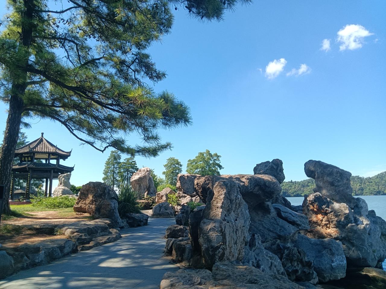 分享我这周有趣的事：武汉东湖落雁景区真的是太美了，无论是在哪个地方，随手一拍就