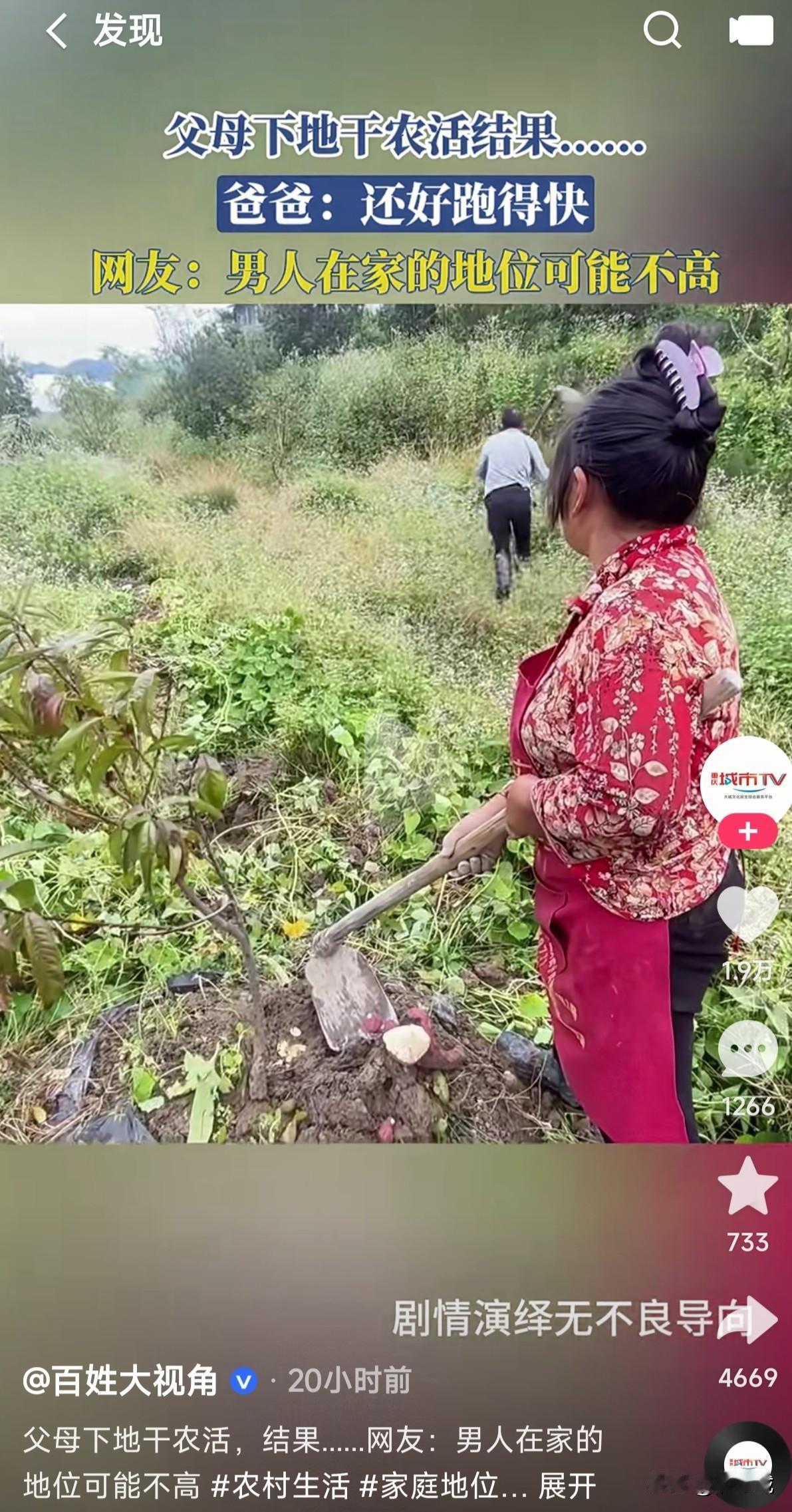 妻管严的男人就活的那么憋屈吗两口子下地干农活结果老婆一锄头下去挖断了红薯这