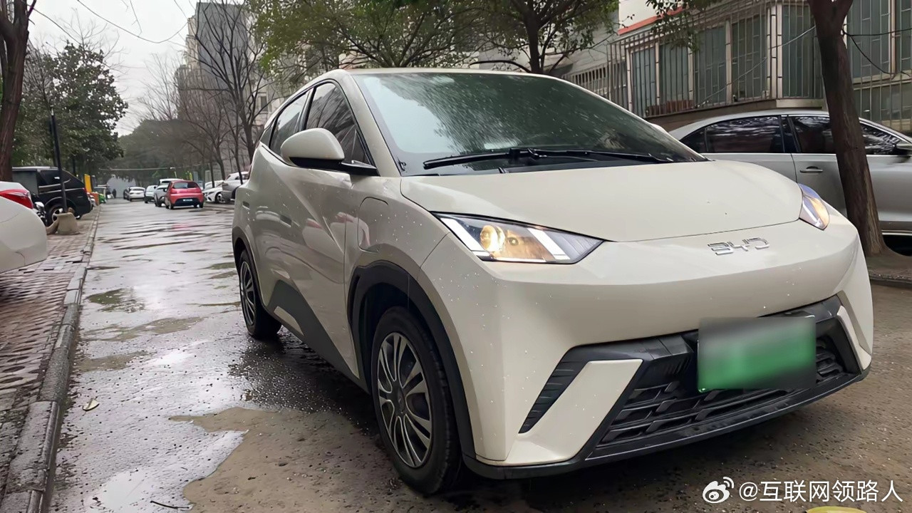 不到4万的比亚迪海鸥——2025年的车，才跑了1万公里，全车原漆没动过，车贩子开