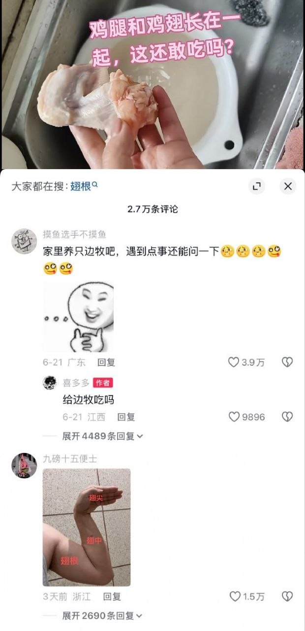 给边牧吃吗