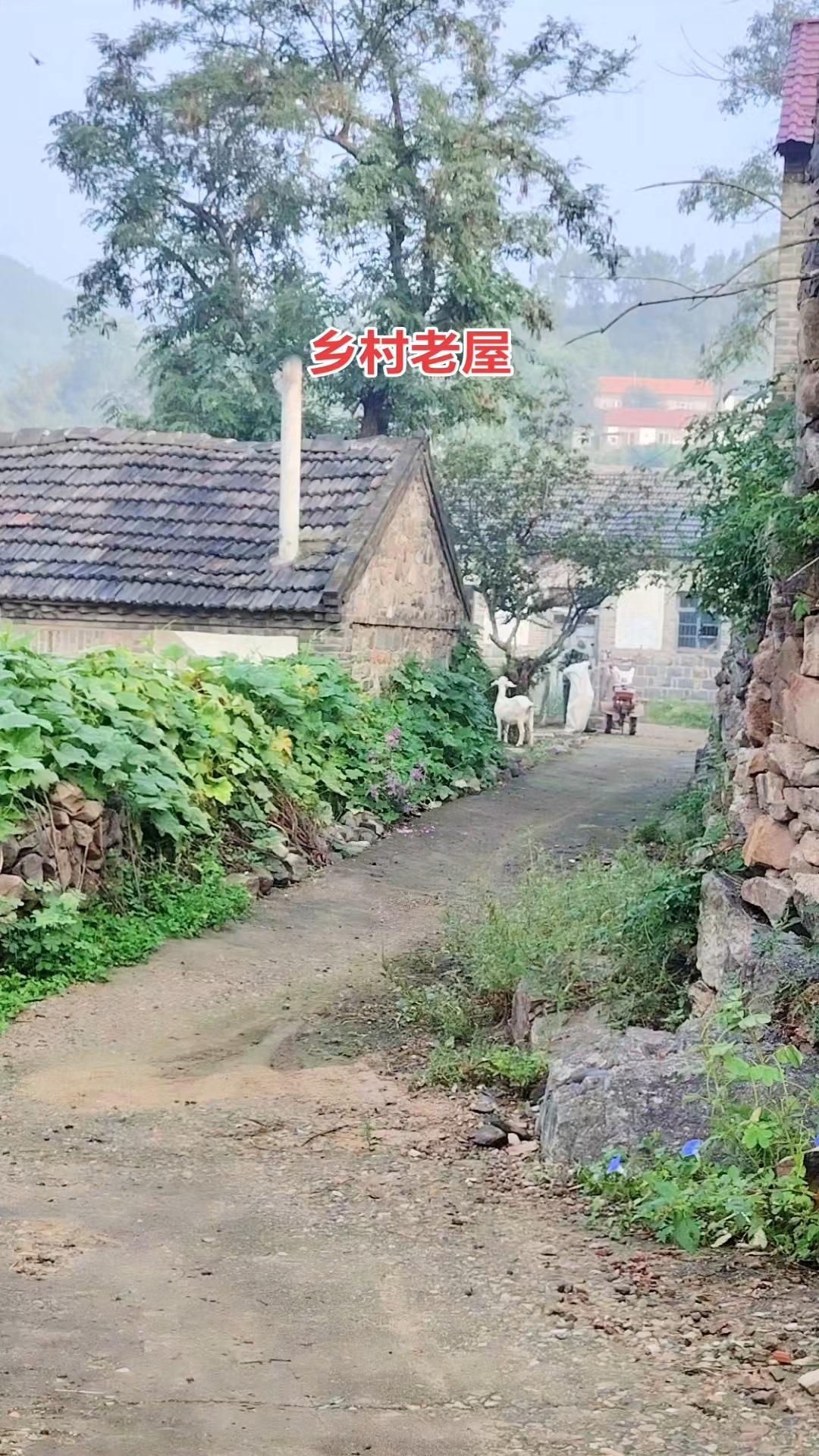 有一个问题困了我很久，一直想拿出来与大家讨论我在农村老家有一处老宅，前些年父母