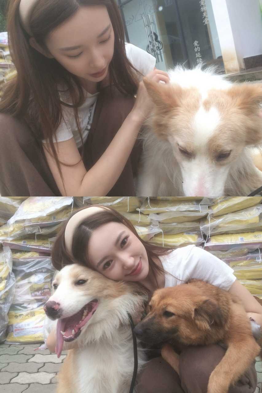 投稿【程潇】小猫和她的小狗朋友🐾🫧