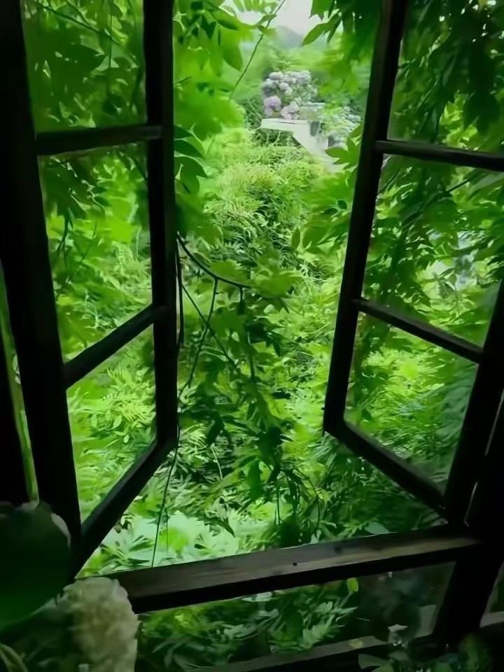 睡安汤结合黄元御一气周流思路黄元御核心：失眠根源不在心，根源全在中土轴运失常，升