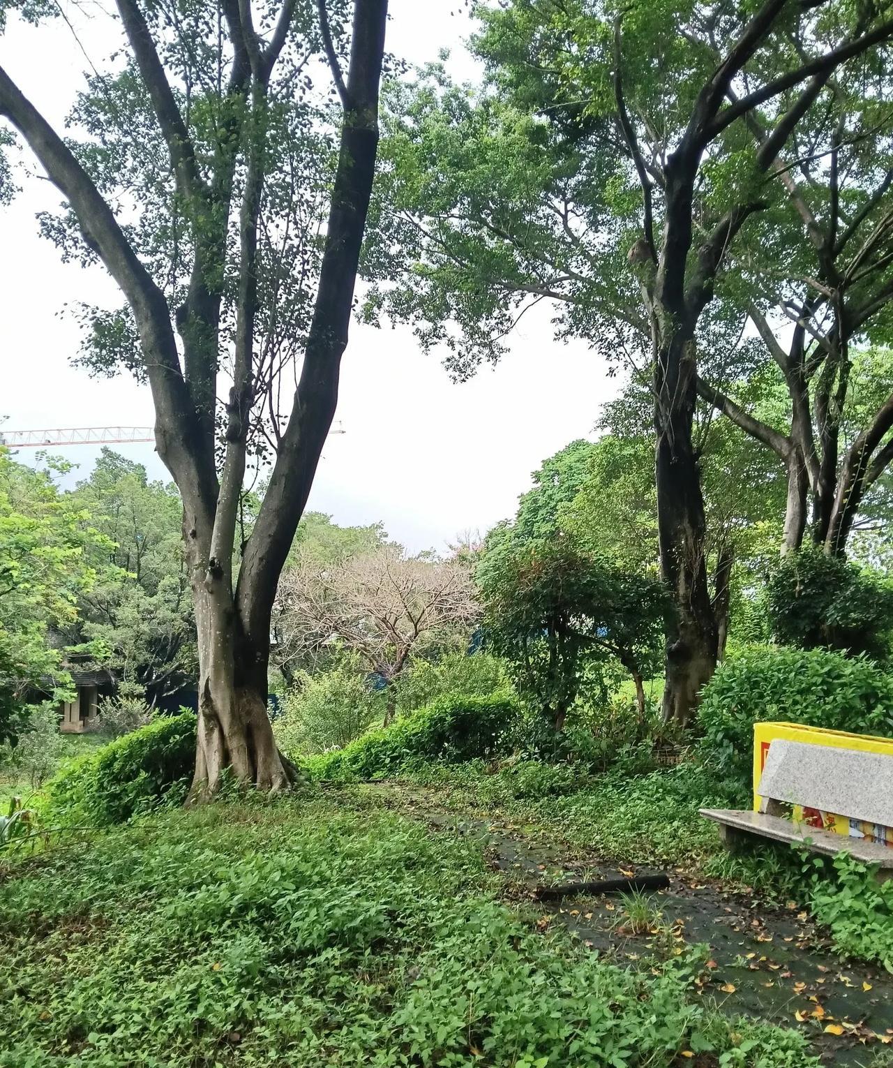 家居风水篇一、如何选择住宅朝向？坐北朝南为佳，采光充足、藏风聚气。现代城市需