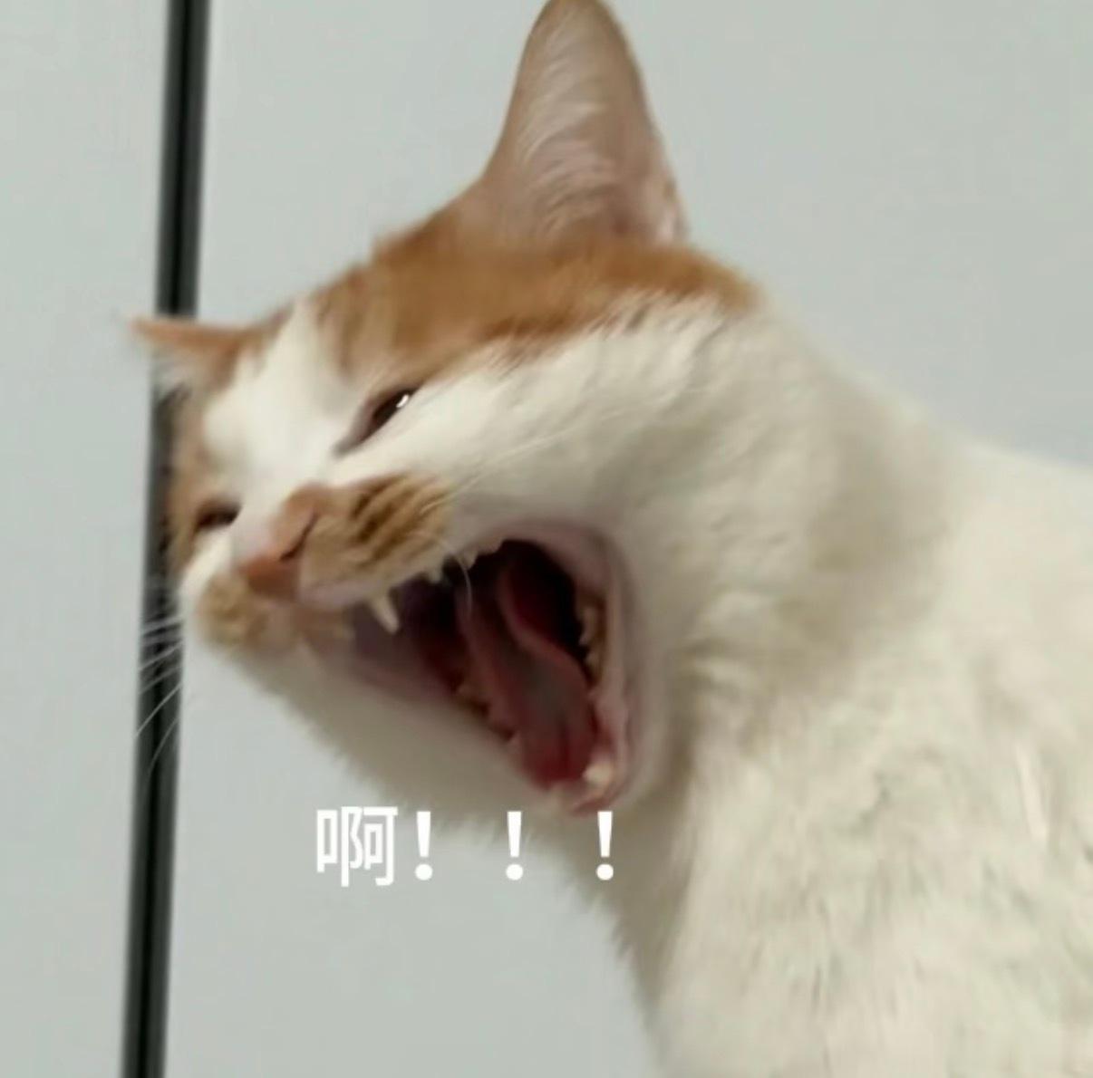 吃了一个离谱的瓜。兜崽姑父有个亲友，家里的女儿高中早恋生了个孩子，那女孩把孩子卖给了深圳还是哪儿的一