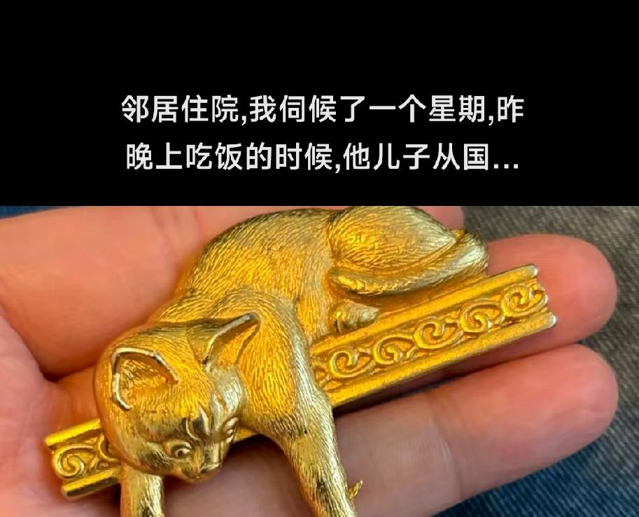 邻居住院，我伺候了一个星期，昨晚上吃饭的时候，他儿子从国外回来了，送给我一个胸针