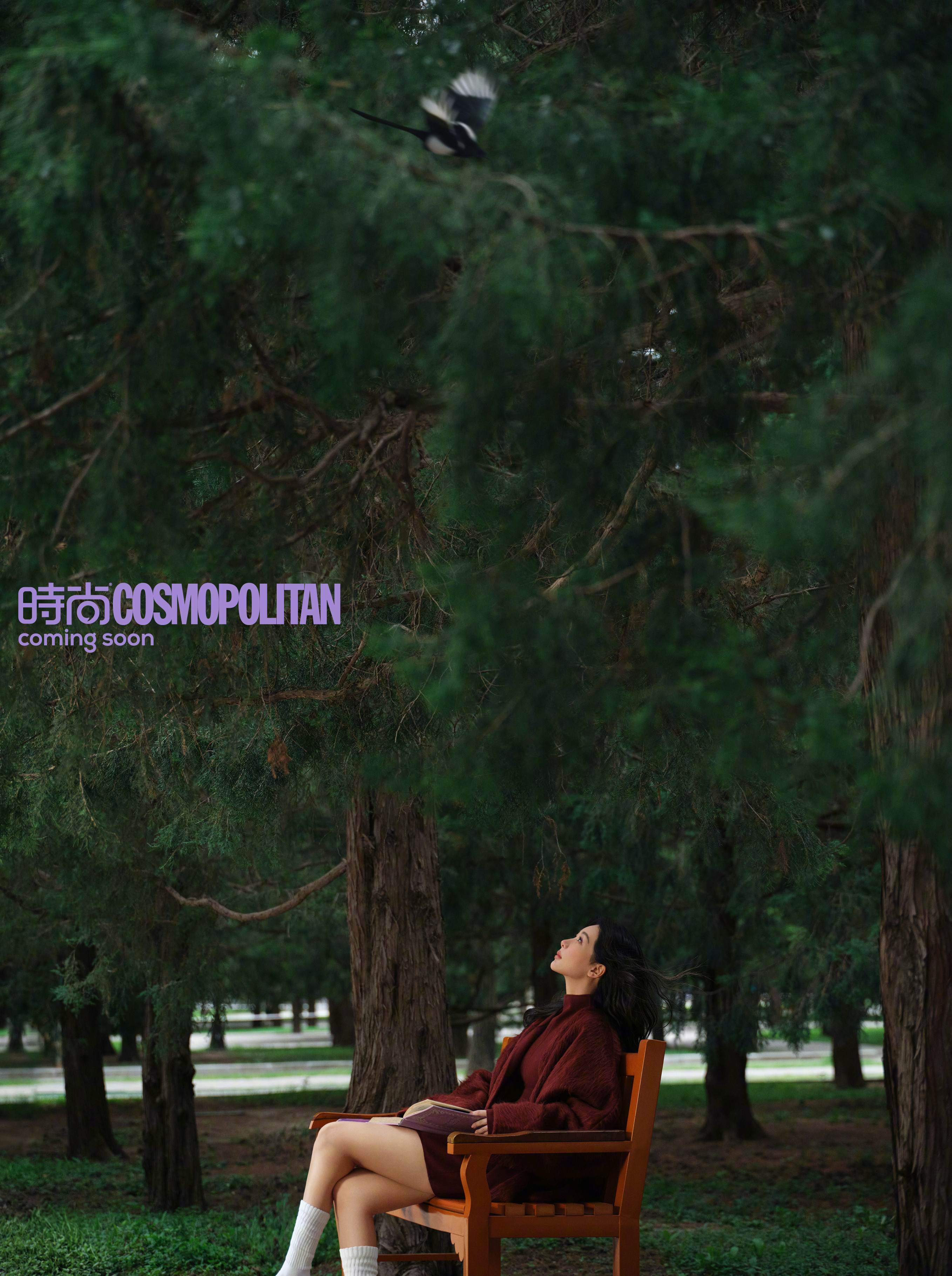 五大金九压轴最后一人来啦！继V中文版后，杨紫即将坐镇《时尚Cosmo》九月刊封面